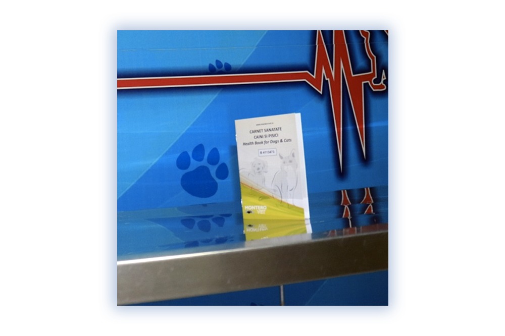 Franco Vet Photo